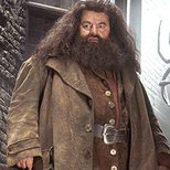 Poster for Rubeus Hagrid